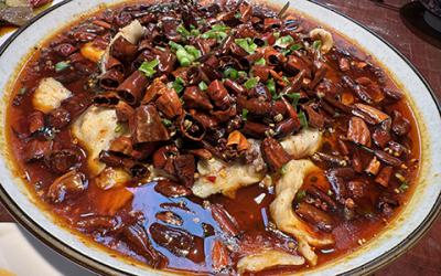 成都涼拌菜培訓(xùn)如何選擇？學(xué)習(xí)涼菜技術(shù)哪里好