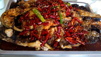 成都烤魚技術(shù)培訓(xùn)學(xué)校排名,學(xué)習(xí)烤魚技術(shù)培訓(xùn)學(xué)費(fèi)？